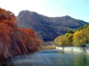 新澳天天开奖资料大全旅游团，阴沉木收购